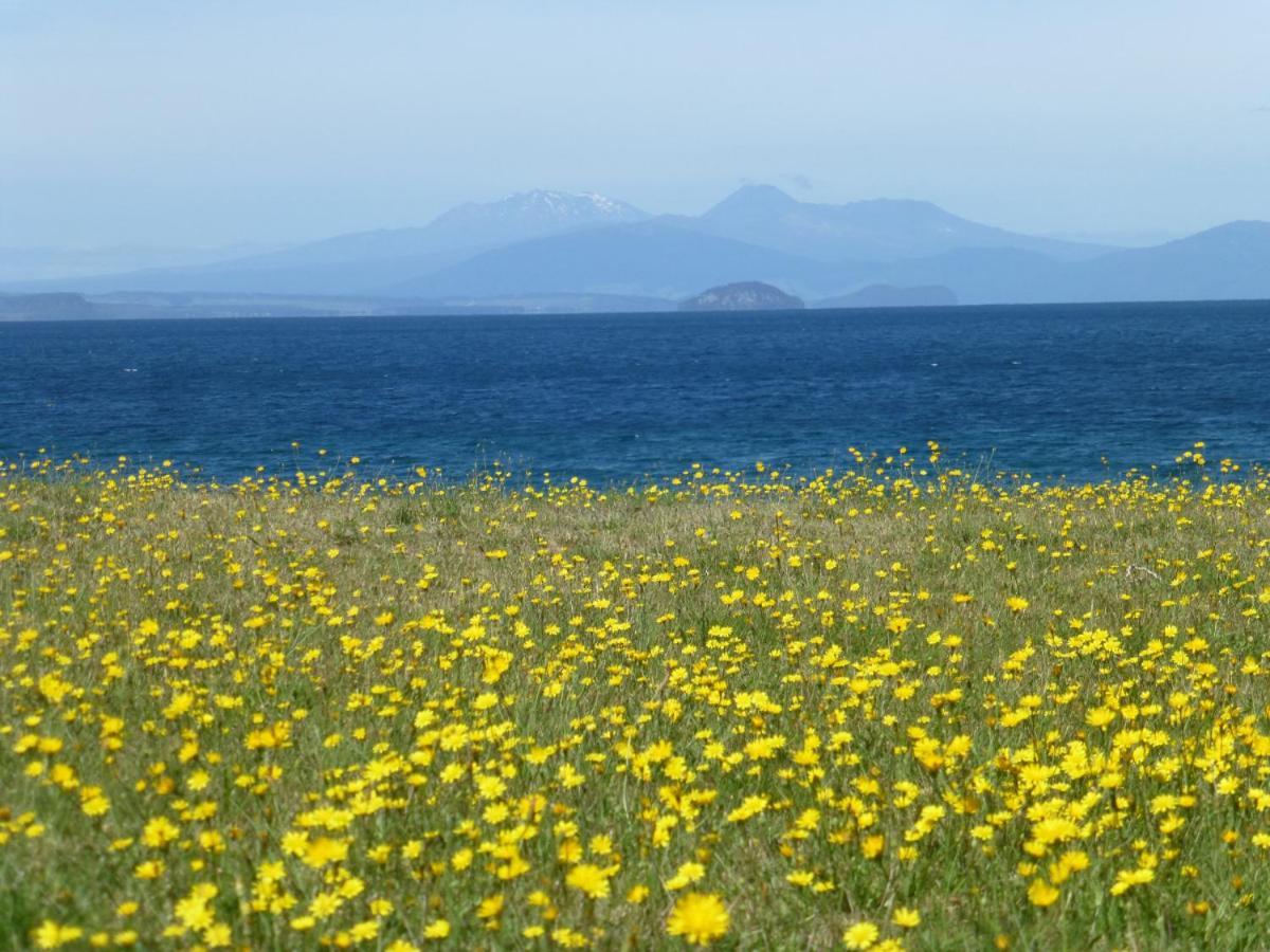 You Little Beauty - Wharewaka Beach Magic Taupo Luaran gambar